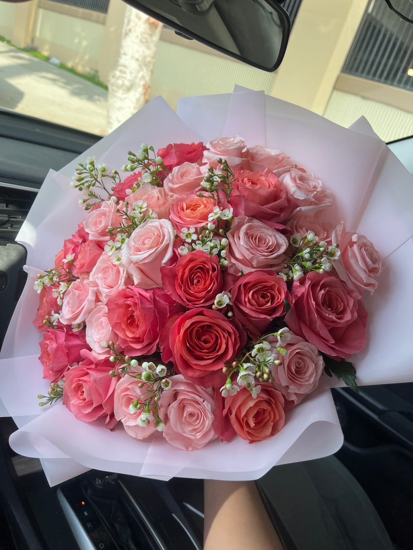 Rosy Reverie